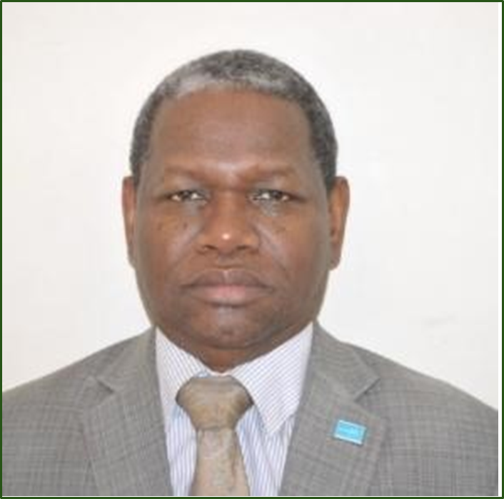 Dr Amadou Baïlo Diallo